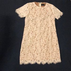 Vici Calla Lace Shift Dress: medium. New